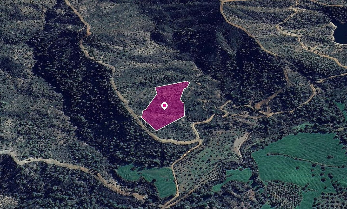 (Share) Special Protection Zoned Field in Lythrodontas, Nicosia