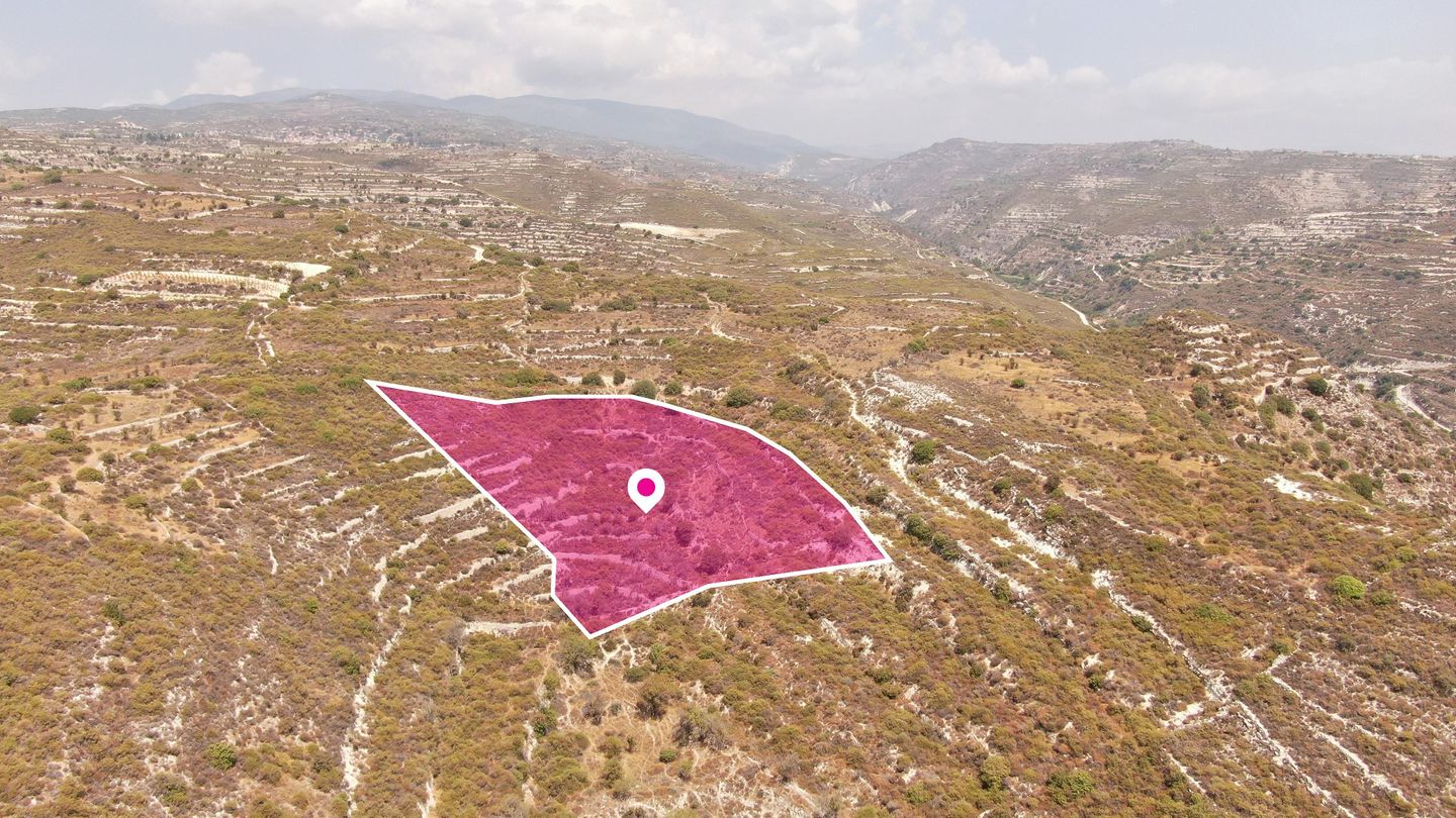 (Share) Agricultural field in Vouni, Limassol