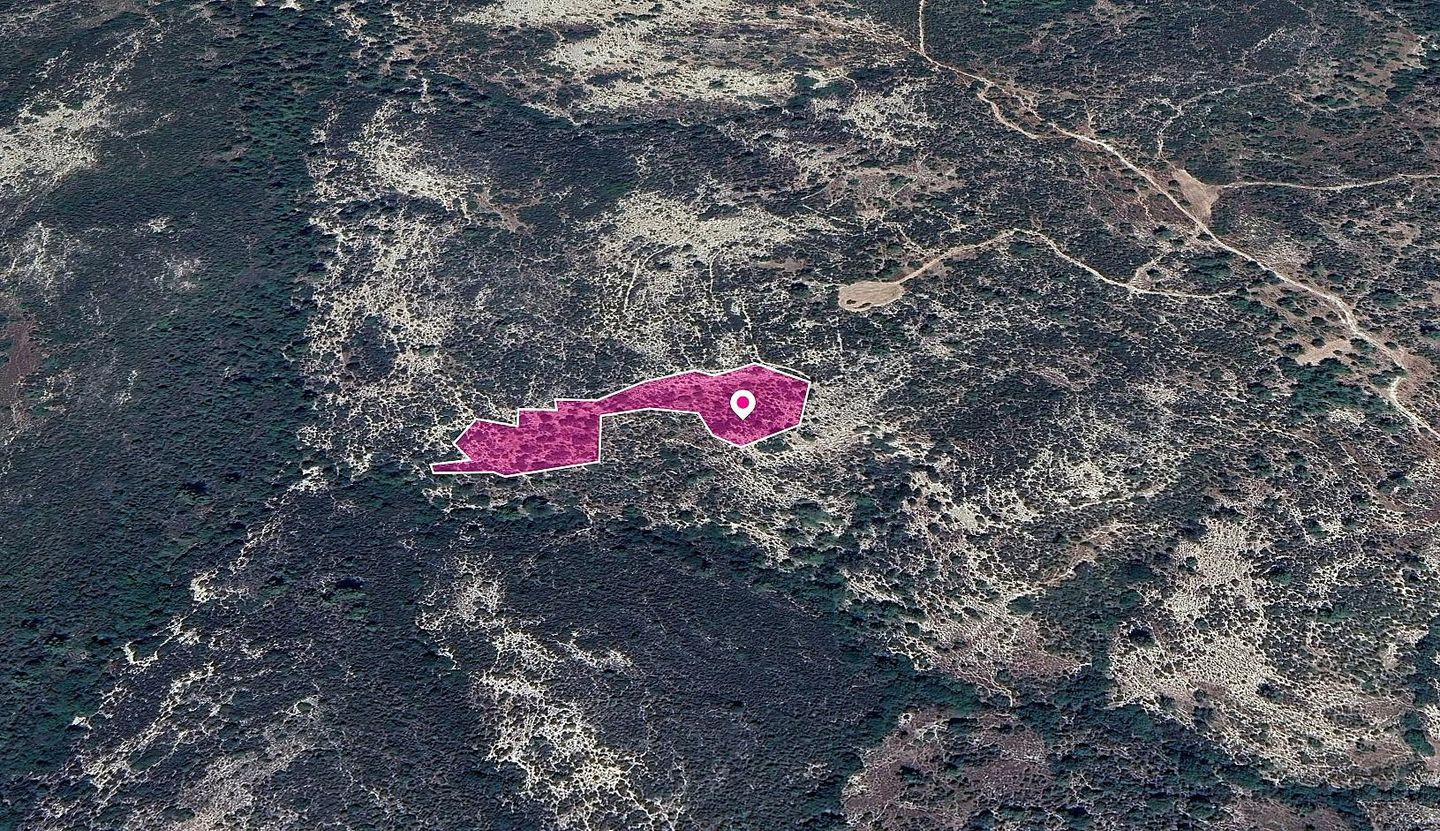 Field, Anogyra, Limassol