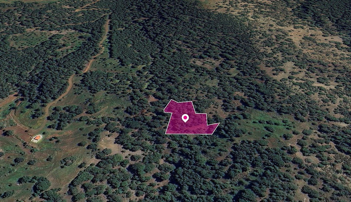 Special Protection FIeld, Pomos, Paphos