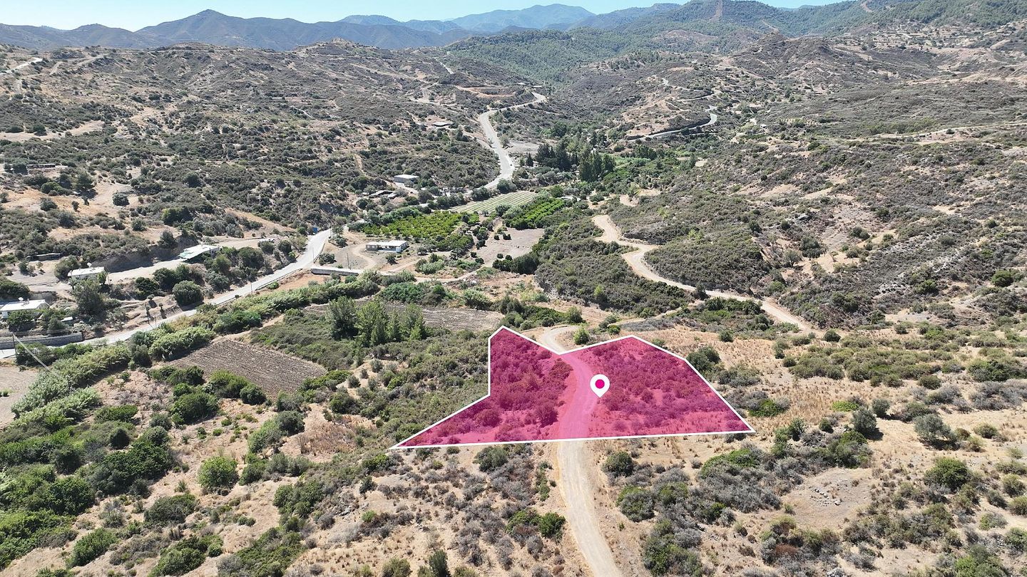 Field in Kato Pyrgos, Nicosia