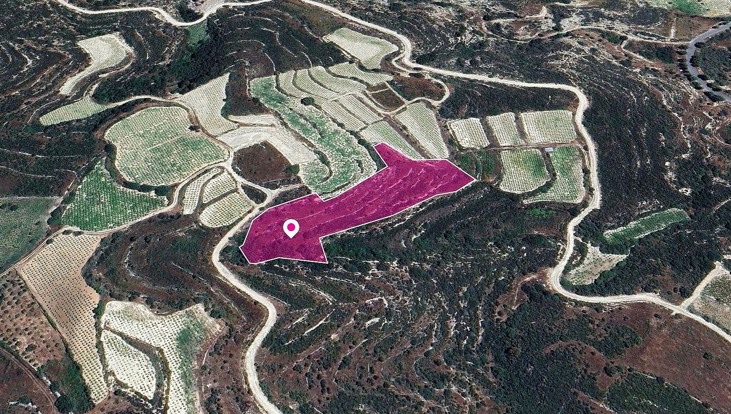 Agricultural Field in Koilani, Limassol