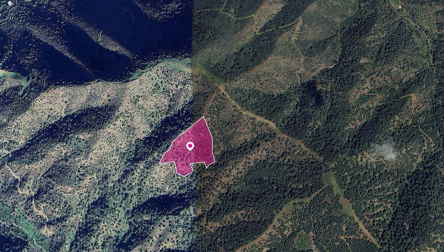 (Share) Field, Pomos, Paphos