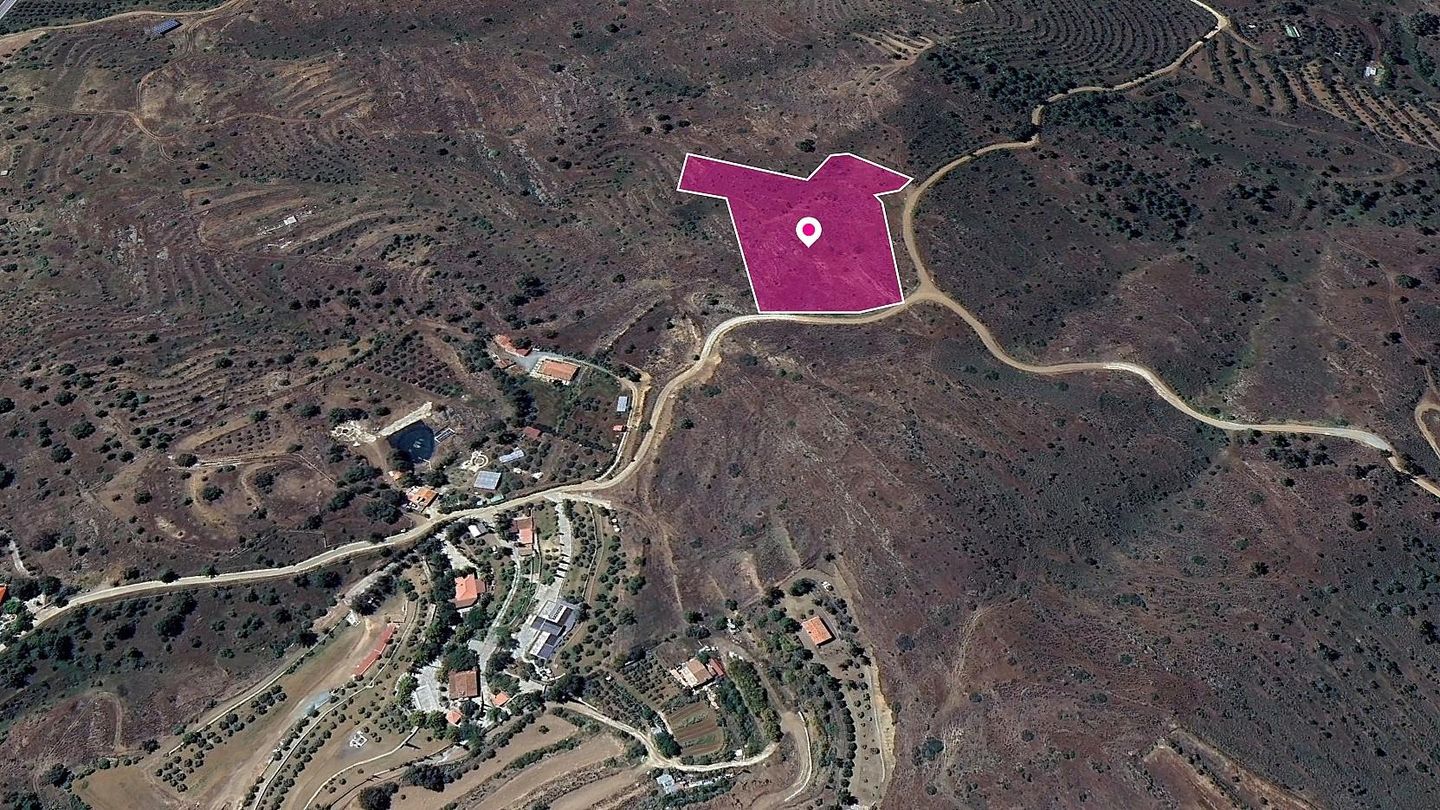 (Share) Live stock field in Kalo Chorio Oreinis, Nicosia