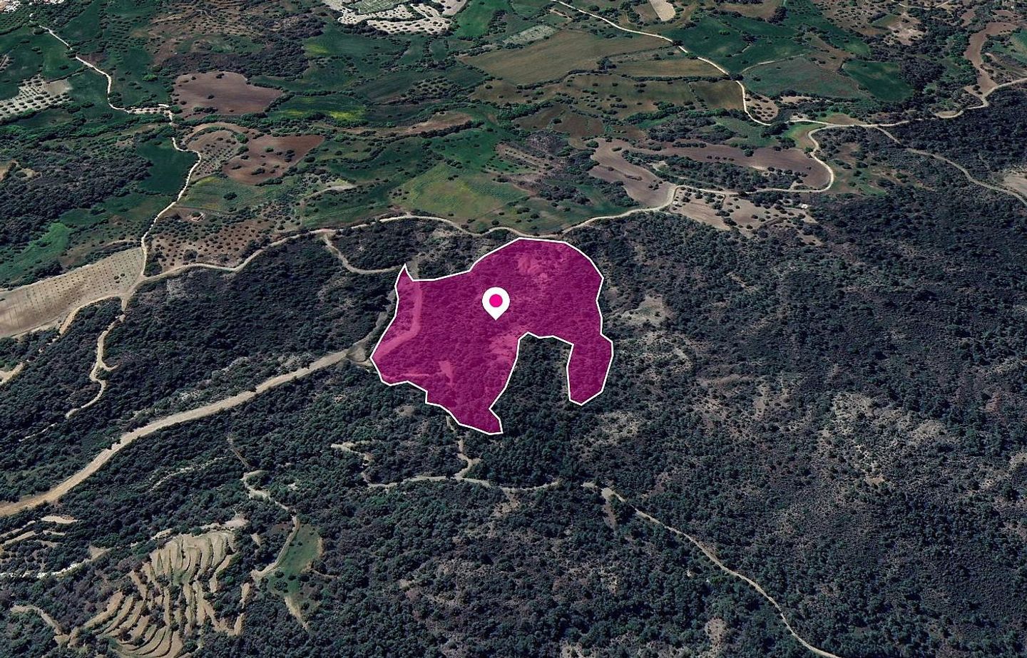 (Share) Agricultural Field, Lysos, Paphos