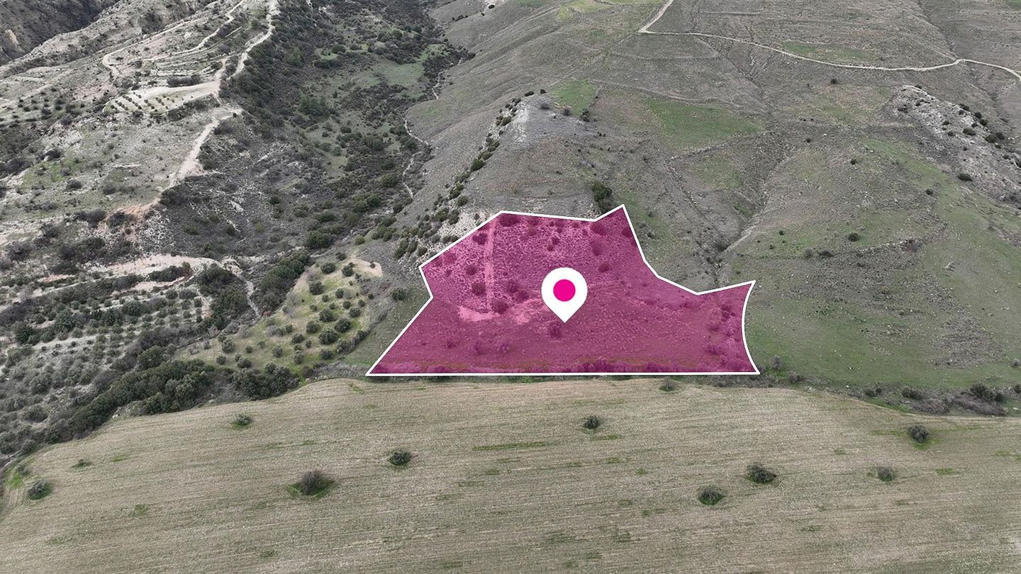 Field in Agios Dimitrianos, Paphos