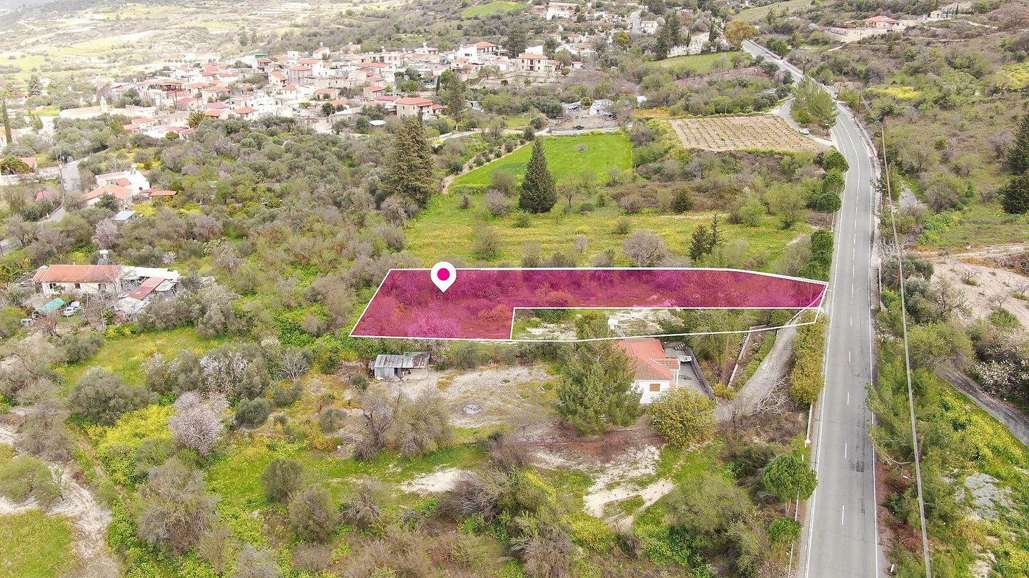 (Share) Residential Field, Praitori, Paphos