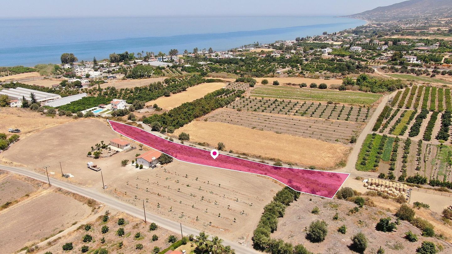 Field in Argaka, Paphos