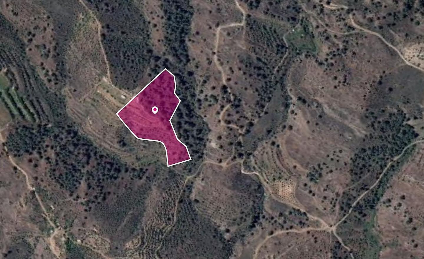 Agricultural field, Platanistasa
