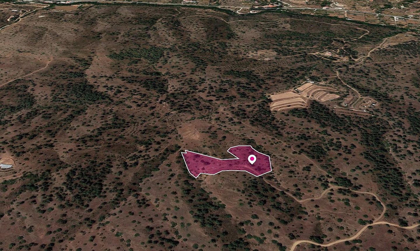 Field in Gourri, Nicosia