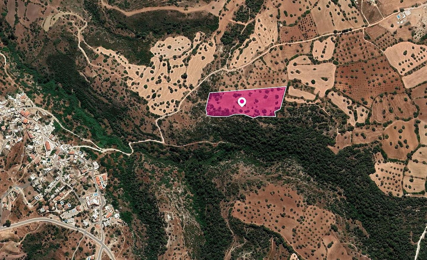 (Share) Field, Neo Chorio, Paphos